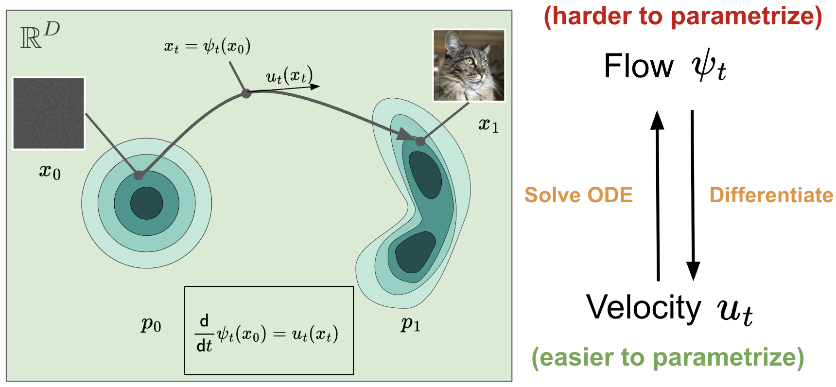 Flow characterized by starting point and diffeomorphism