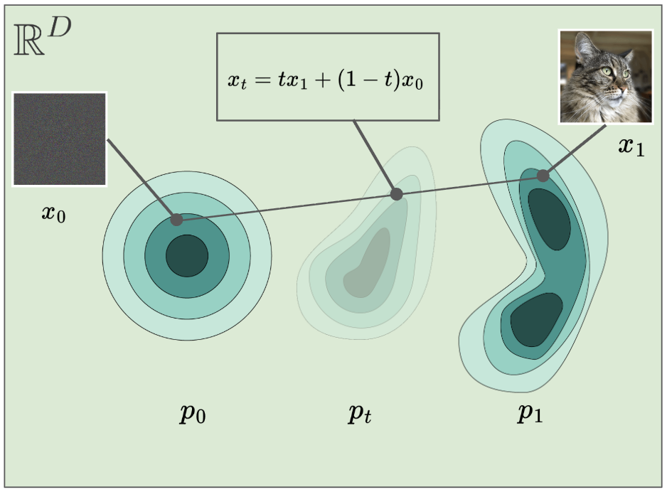Flow matching training step sketch